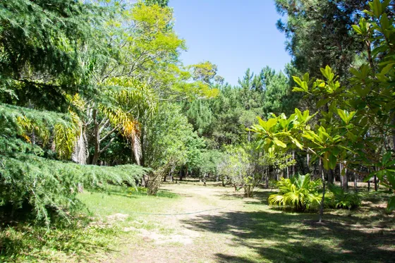 Venta Campo Con Casa De 32 Ha Ruta10 Rocha