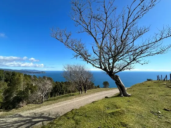 Sitio En Condominio Ecológico