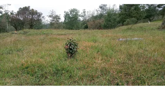 Lote En Venta Sector El Silencio Alto De Las Palmas Envigado
