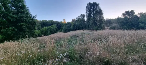 Hermoso Predio De 110has: Vistas Únicas, Entorno Natural