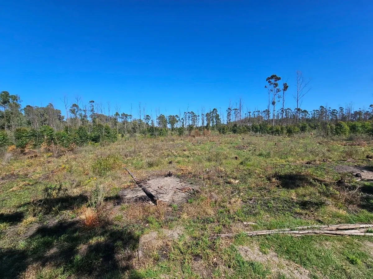 Land for Sale Near the River with Financing Available