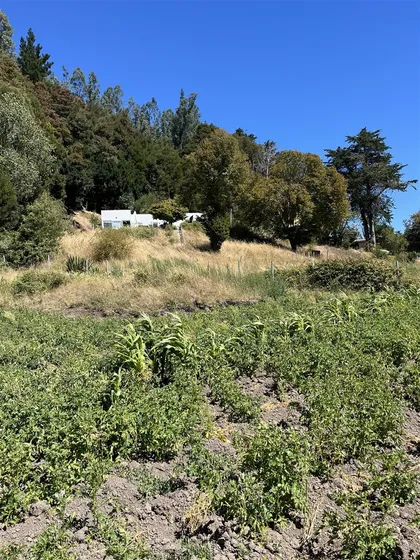 Sitio En Venta En Arauco