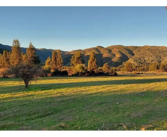 Se Vende Parcela Rincon Del Sauce Pumanque 5000 M2