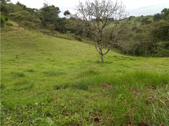 Venta Lote En El Carmen De Viboral - Vereda Garzonas