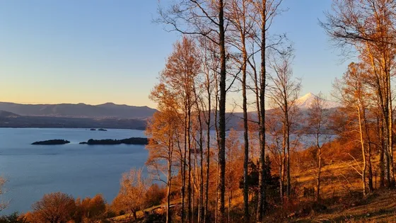 Mirador Del Calafquen, Panguipulli, Playa, Vistas, Calidad