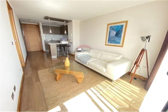 Departamento Amoblado Parque Brasil