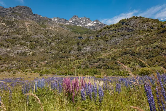 Parcelas En Emperador Guillermo, Aysén (64862)
