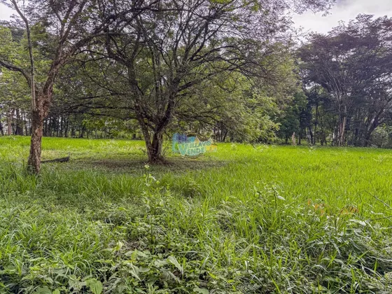 En Venta Lote Campestre En La Vereda Balcones (restrepo, Meta)