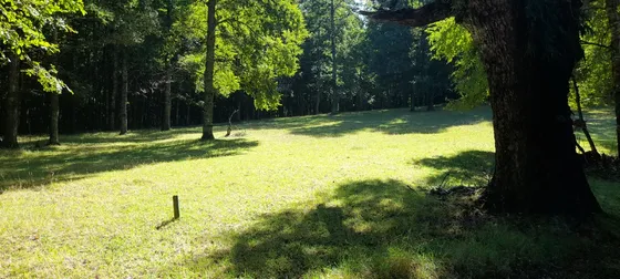 Parcelas En Pucon Araucania