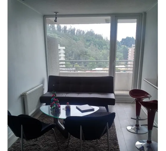 Acogedor Departamento Central 