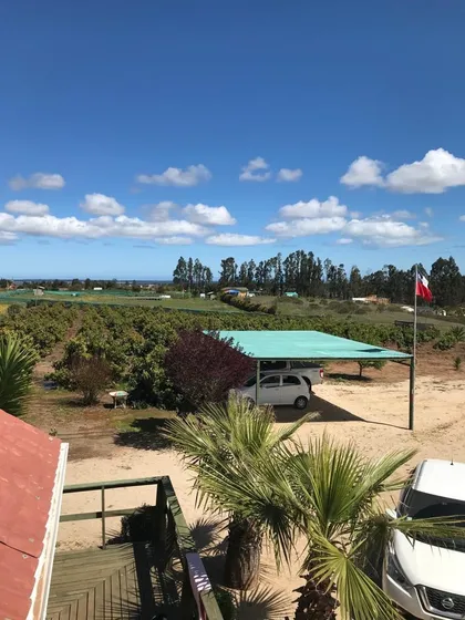 Se Vende Parcela En El Convento Con Paltos En Produccion