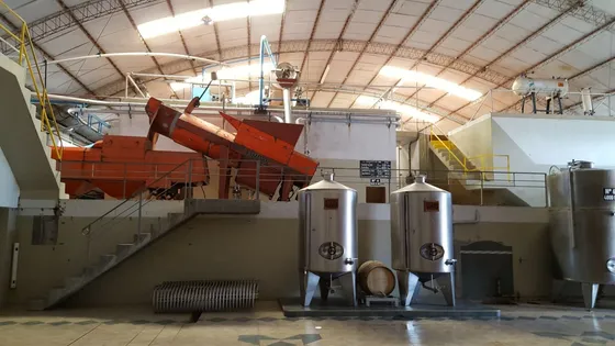 Venta De Bodega , Alto Verde , San Martin, Mendoza