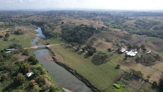Finca Full Ganadera De 11400 Tareas Entre San Pedro De Macoris Y La Romana Con Rios 