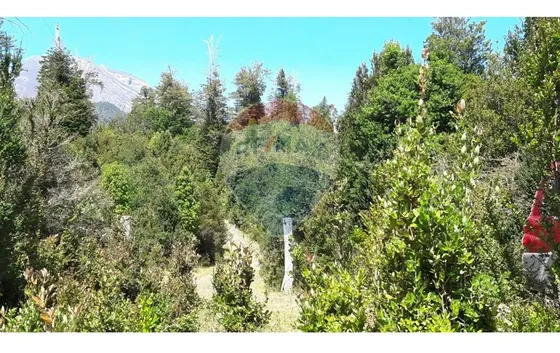 Se Venden 22 Parcelas Continuas Puerto Varas