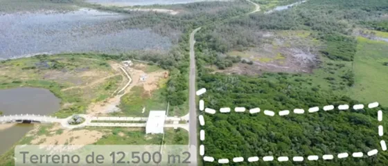 Oportunidad Única: Terreno De 12,500 M² En El Corazón De Tucacas, Morrocoy