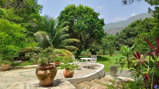 Solar De 5000 Metros En Los Mogotes De Villa Altagracia 