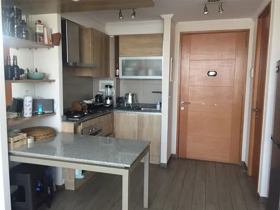 Venta Departamento 2d2b1e1b Norte Ricardo Lyon Providencia