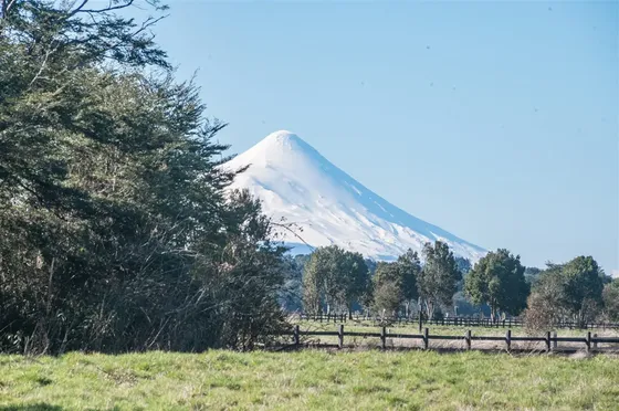 Agrícola En Venta En Puerto Varas