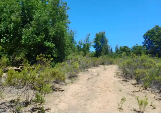 Parcela En Venta 5000mt2 Los Treiles, Maule