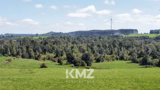Se Vende Campo 44,5 Ha En Llanquihue.
