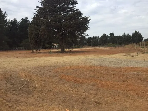 Terreno Construccion En Arriendo En Viña Del Mar