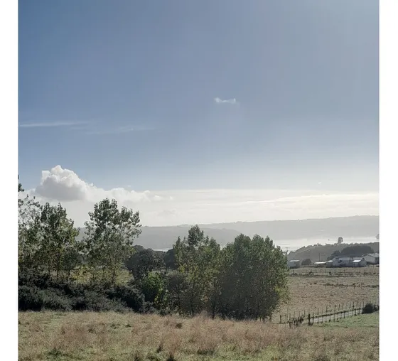 Gran Terreno Con Vista Al Mar, En Camino A Rilan Chiloé.