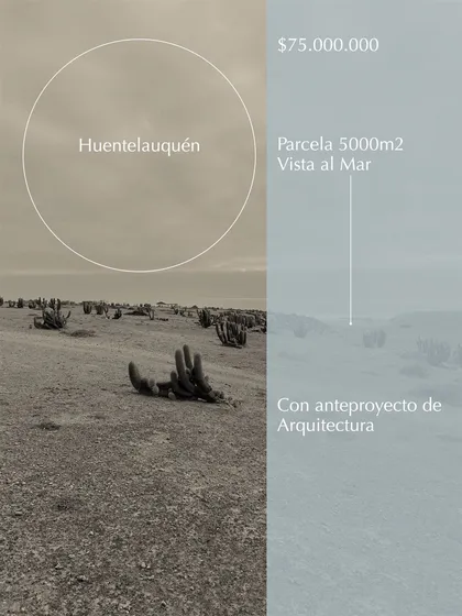 Excelente Parcela 5.000 M2 En Huentelauquen