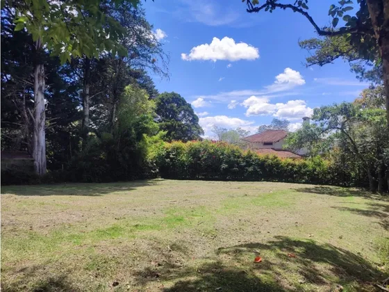 Vendo Lote La Ceja Via Rionegro  Sector El Yarumo 6.115 M2