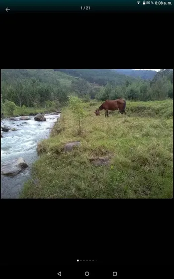 Vendo Finca Con Rio Y Carretera 