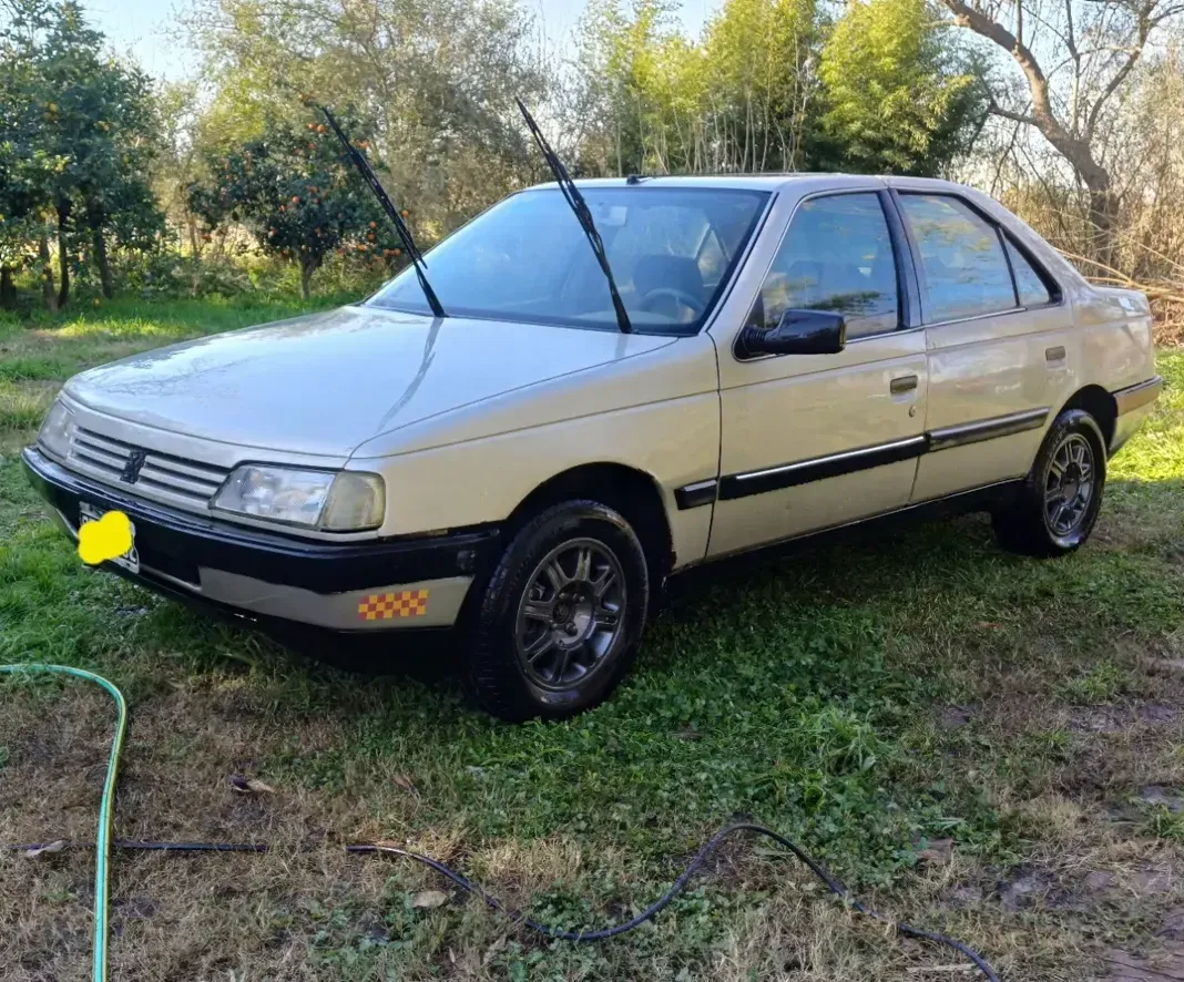 Peugeot 405 1.9 Grdt Tc Ll