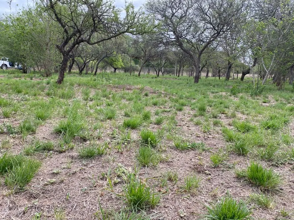 Venta Terreno  Lote Santa Mónica