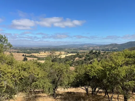 Terreno Agrícola Rincon De La Mina - Pumanque