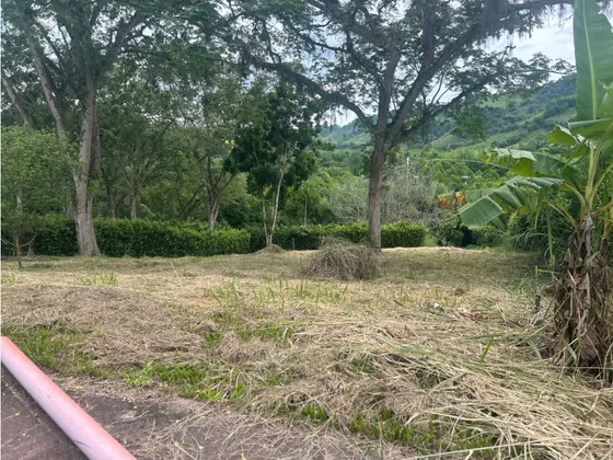 Venta Lote Para Casa Campestre Km 41 Palestina | Lote En Venta