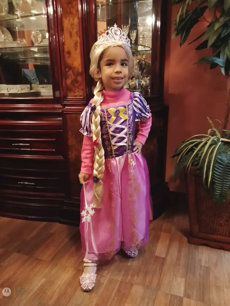 Gykutix 5 Piezas Trenzas Pelo Niña Princesa Peluca Trenzas Pelucas Trenza Clip de Pelo Trenzado Peluca Rapunzel con Collar niña Pelucas Trenzadas para Elsa Frozen niño Princesa Vestir Accesorios