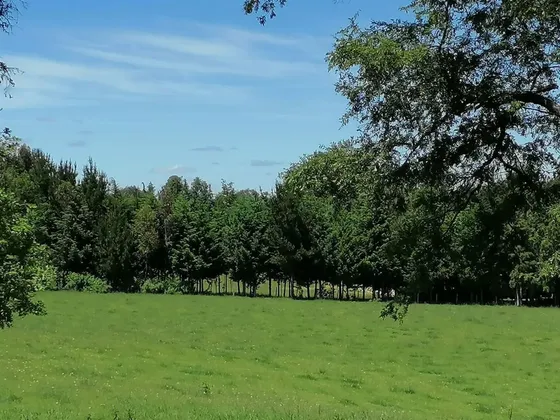 Parcela En Venta En Purranque