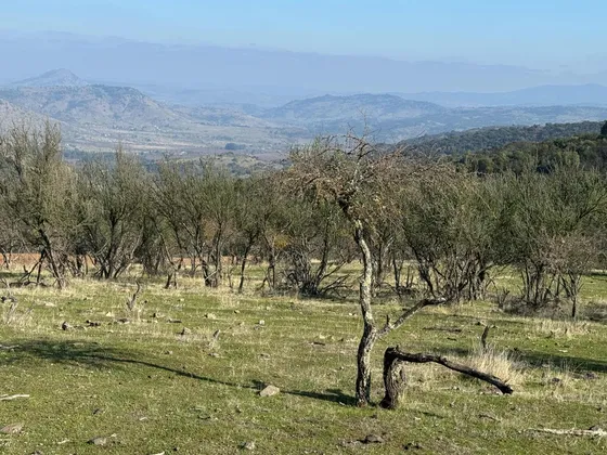 Terreno 5000mt2