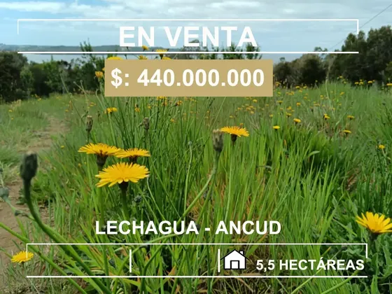 Se Vende Terreno En Lechagua, Ancud
