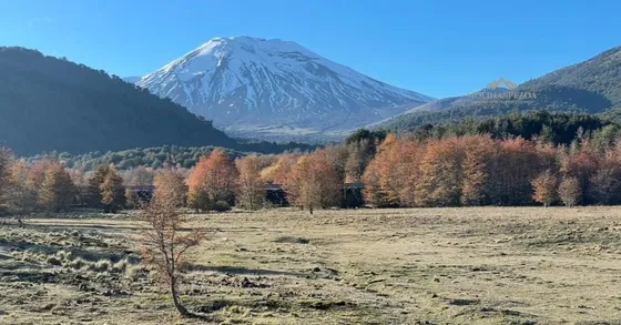 Campo De 30,4 Ha En Malalcahuello A Orilla De Carretera