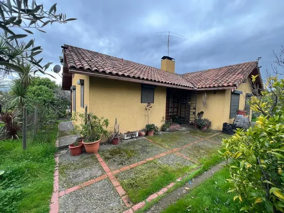 2 Ha Con 2 Casas, Galpón, Y Viñas En Popeta, Melipilla