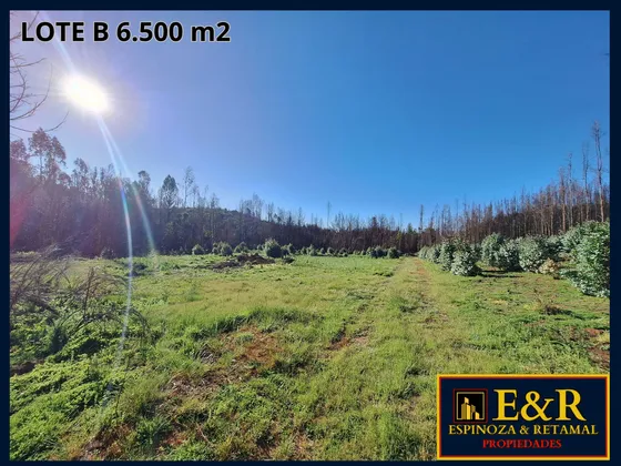 Coloco , Santa Juana , 6000m2 Con Estero  (67673)