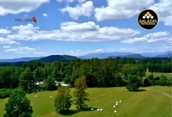 Parcelas Exclusivas En Reserva Palguin Panguipulli Lote 16