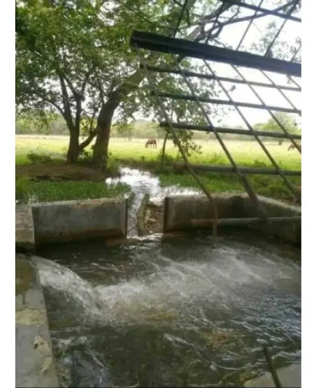 Finca De 110 Has En Municipio Ricauter Sector Las Vegas Cojedes