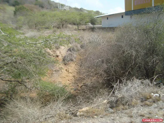 Terrenos En Venta En La Circunvalación  Ic-00208
