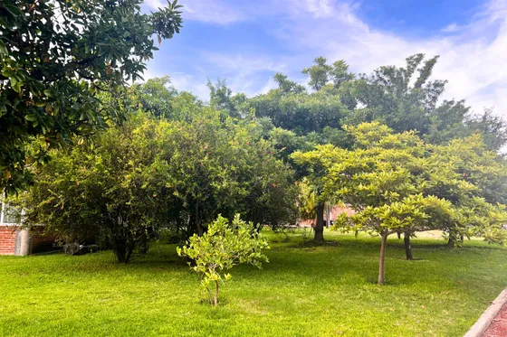 Terreno En Venta, Ubicado En Chinconcuac, Cod. Tv352