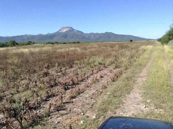 Rancho En Venta 