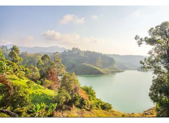 Finca Entre Guatape Y El Peñol Con Salida A La Represa