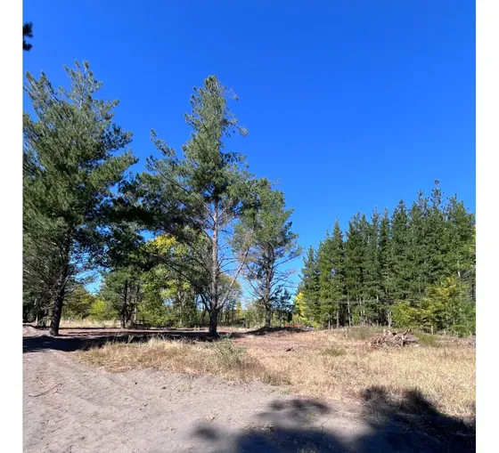 Venta Sitio Proyecto El Arrayan Camino Unihue Talcamavida