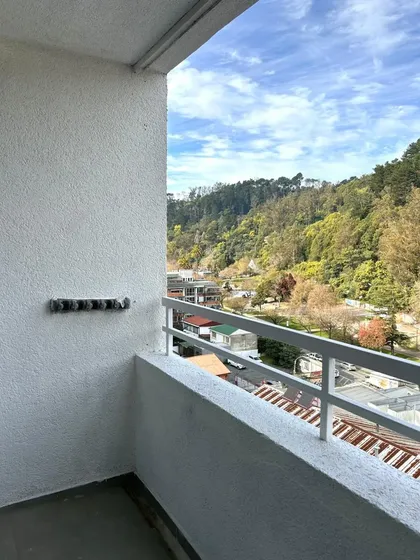 Lindo Departamento, A Pasos Del Parque Ecuador Y Centro.