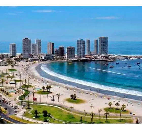 Departamento En Arriendo De 1 Dormitorio En Iquique