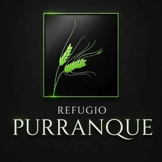 Parcela En Venta En Purranque